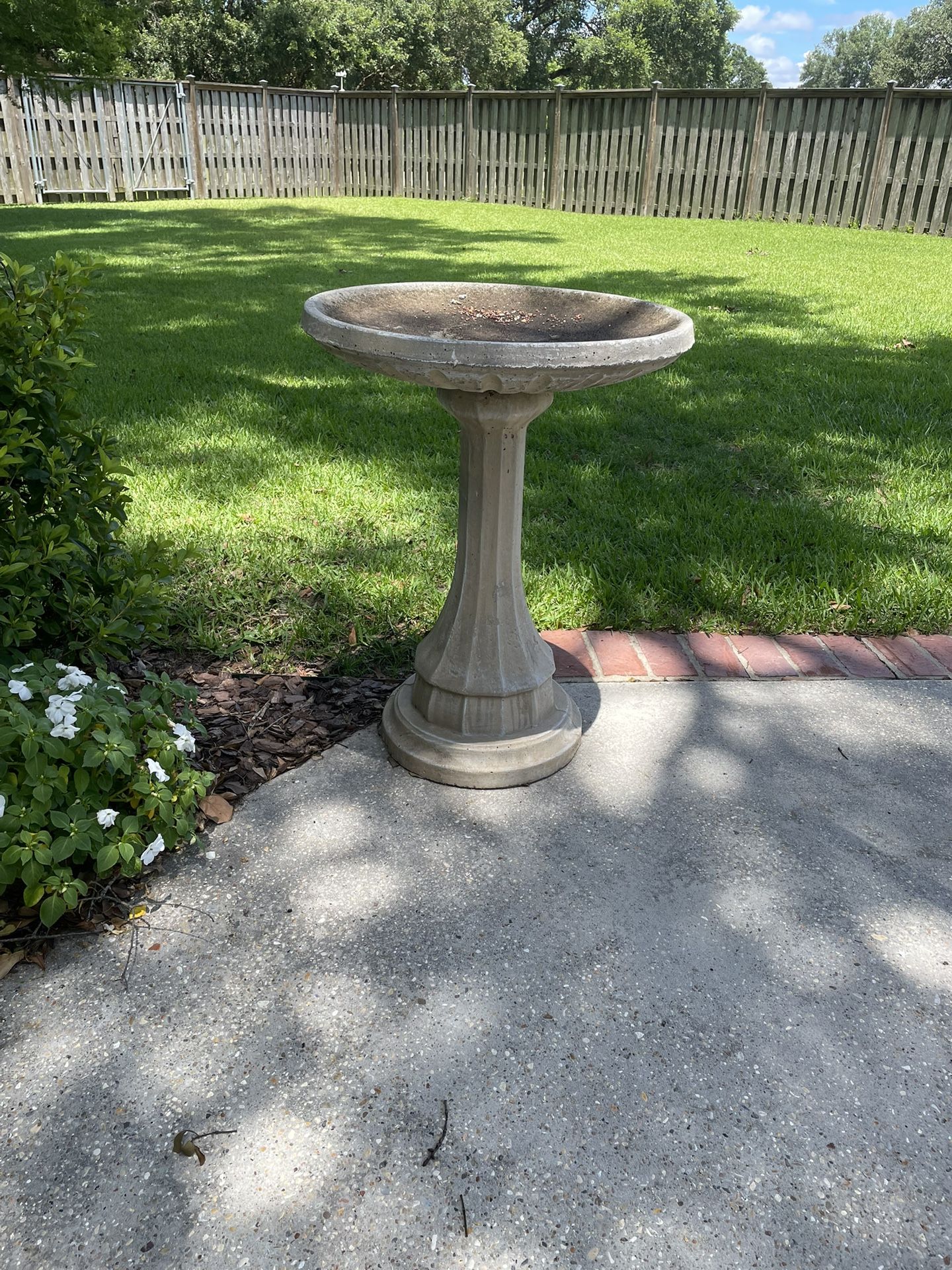 Bird Bath