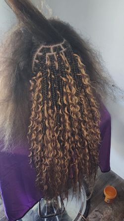 Bohemian Regular Braids 
