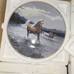 Collectable 