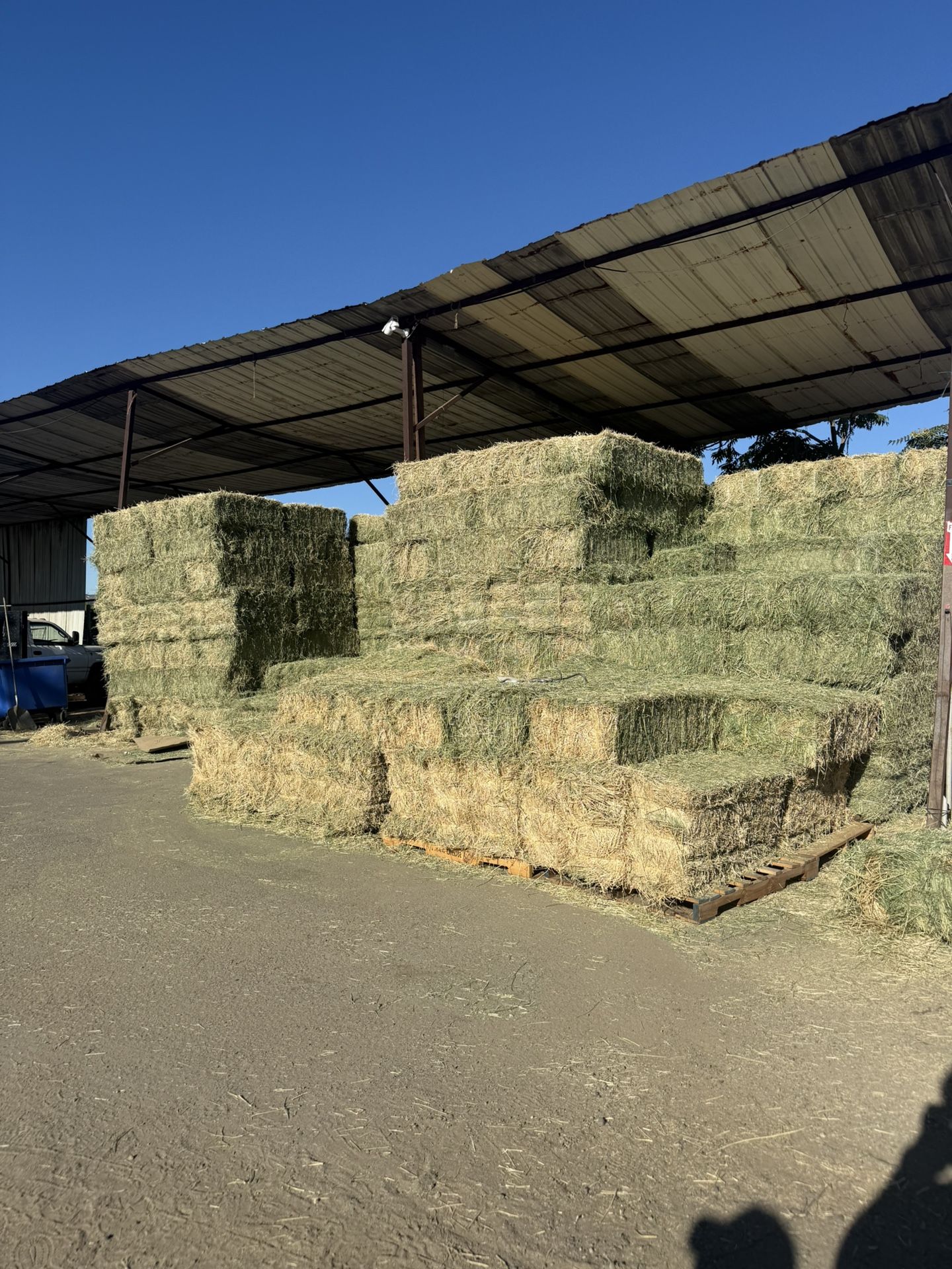 Hay/alfalfa 