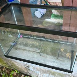 Fishtank 