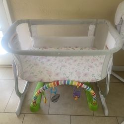 Baby Delight Bassinet 