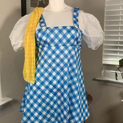 Adults Dorothy Wizard of Oz with yellow brick tights sz M