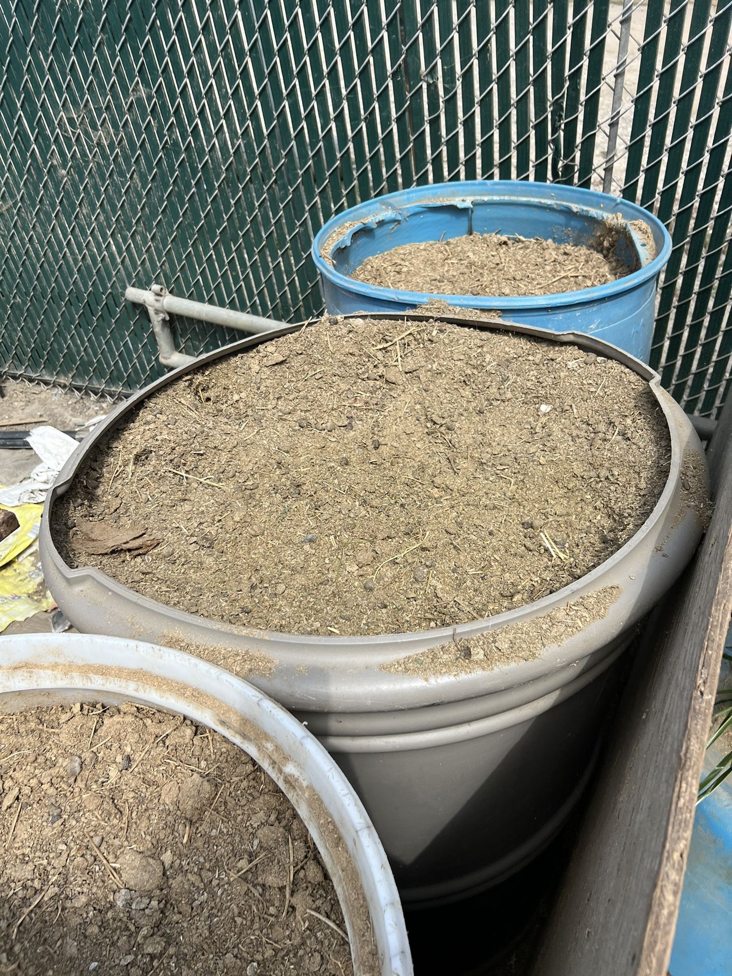 goat manure