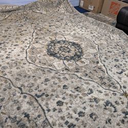 Surya Davaro 9x12 Area Rug In Excellent Condition.