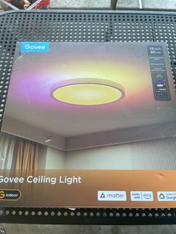 Govee smart ceiling light
