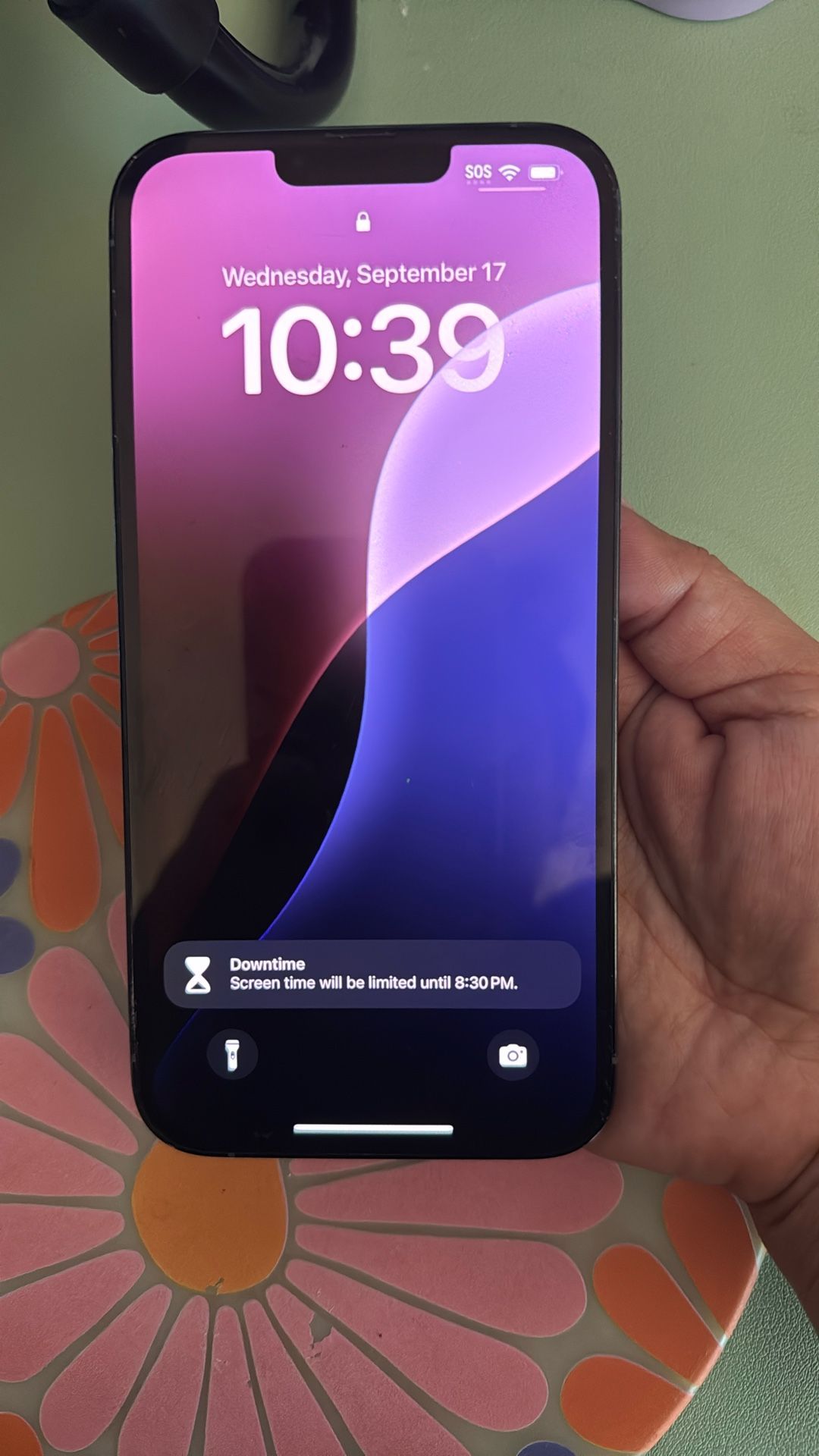 iPhone 13 Pro Max 
