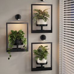 Bamworld Hanging Planters for Indoor Plants Wall Decor 3-Packs with Lights