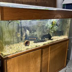100 Gallon Acrylic Aquarium w/oak Stand and Hood