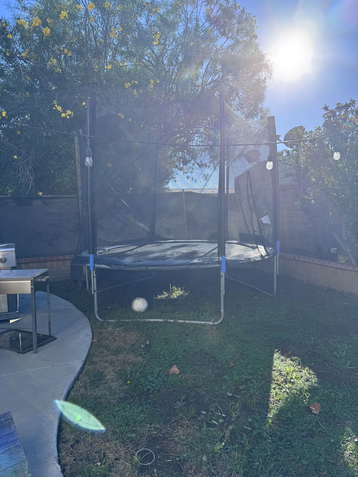 Trampoline 12’