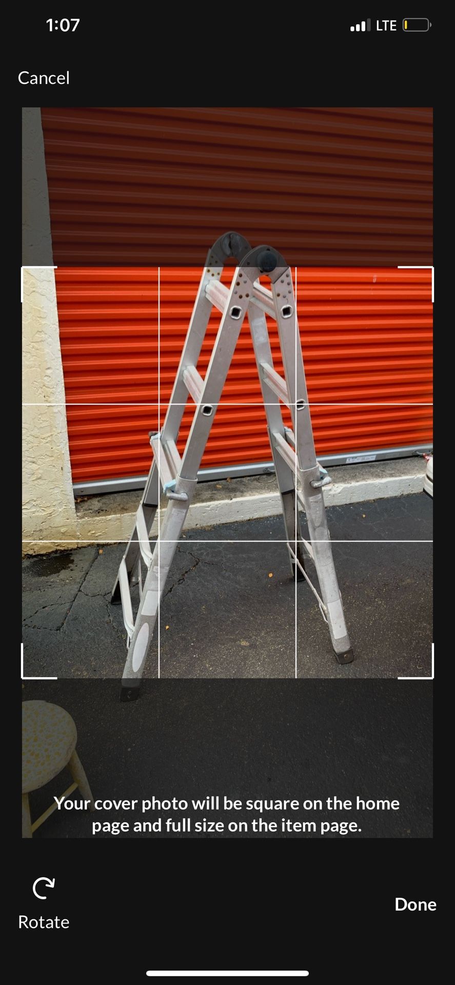 Ladder Werner