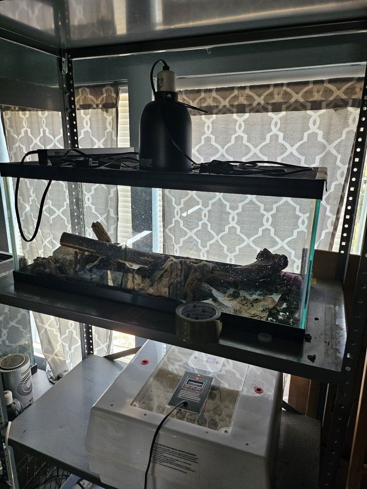 Reptile Supplies And Tanks