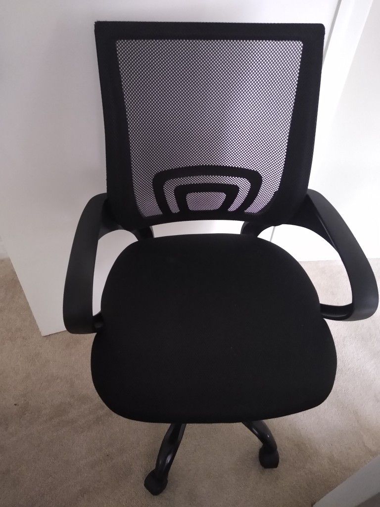 Ergonomic Office Chair, Lumbar Support