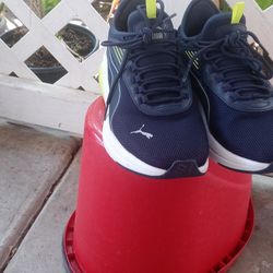 pumas 