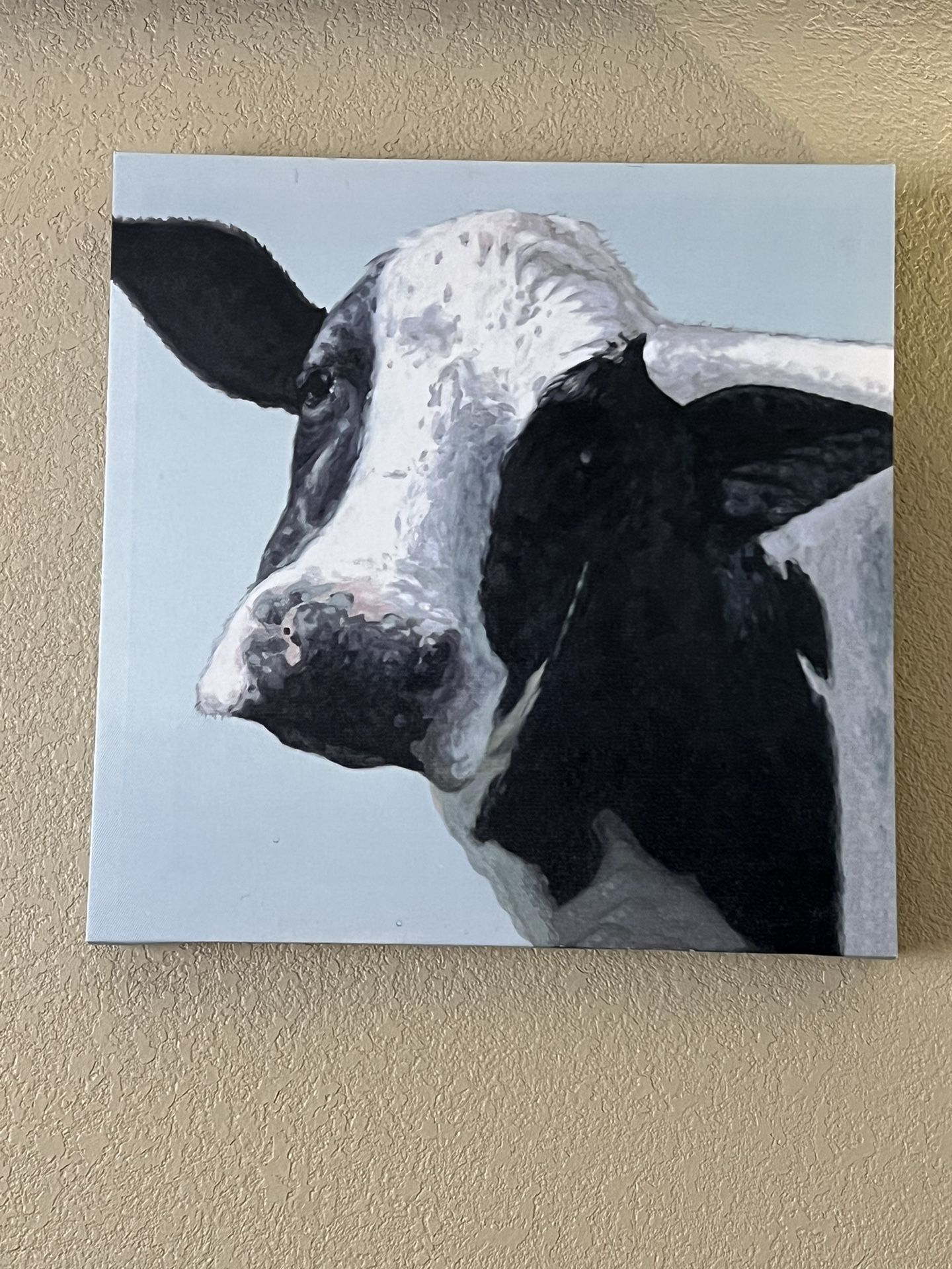 Canvas Picture