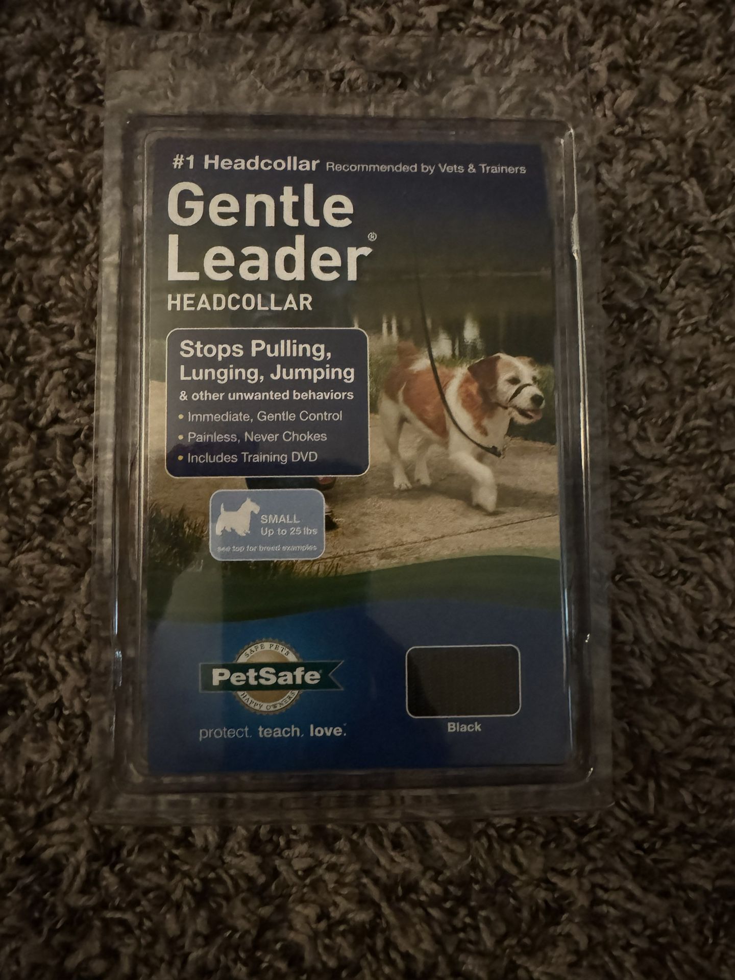 Dog Lead
