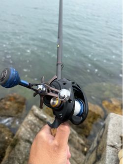 Daiwa lexa 400wn hspl and wild wild black carrot stick