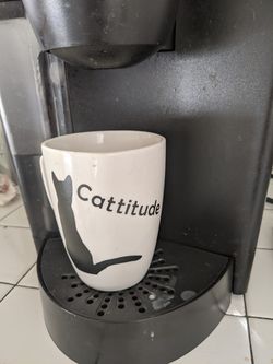 Cat anything! It's a puurrrr-fect gift!