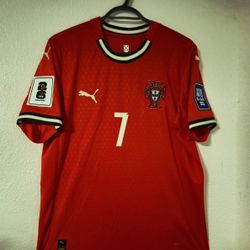 Ronaldo With Portugal 