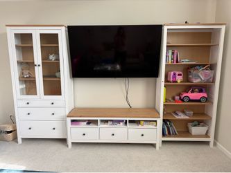 TV storage and shelves