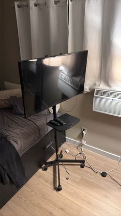 Tv with roller stand