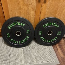 Black Bumper Plates Weighted Set (25s, 15s, 10s)