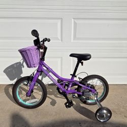 Guardian 14 Inch Purple Bike (Age 3-5)