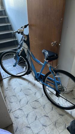 Avalon 7 speed bike with Bell cushioned seat cover