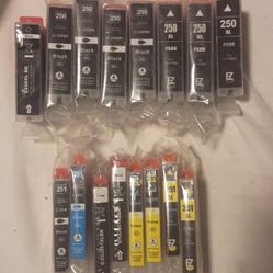 Pgbk Inkcartriges Brand New