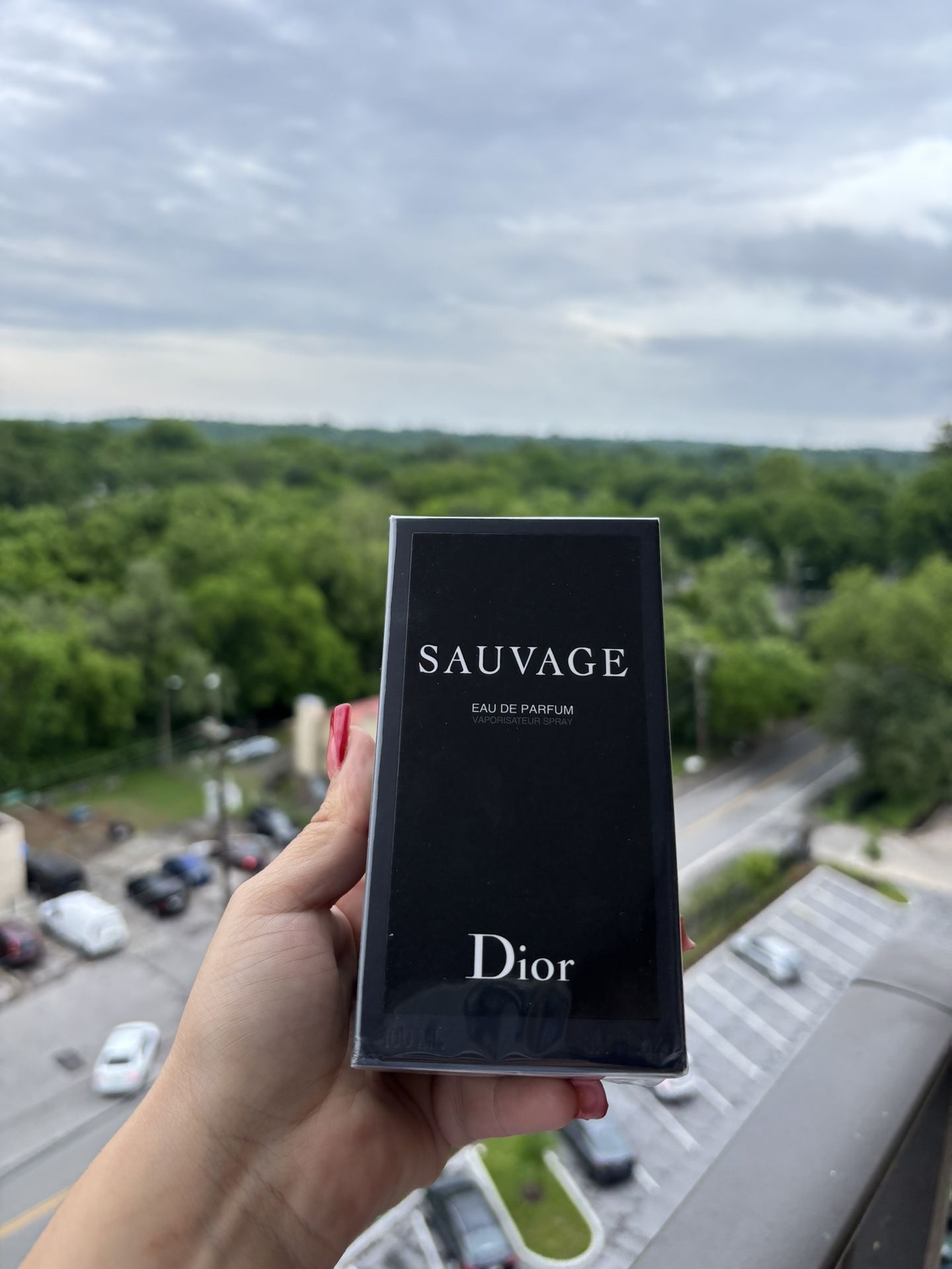 Dior Sauvage