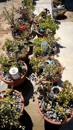 PRICES btw $20-$40 each. SUCCULENT clay pots (read description)