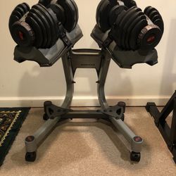 Elliptical, Bowflex Dumbbells with Mobile Stand 