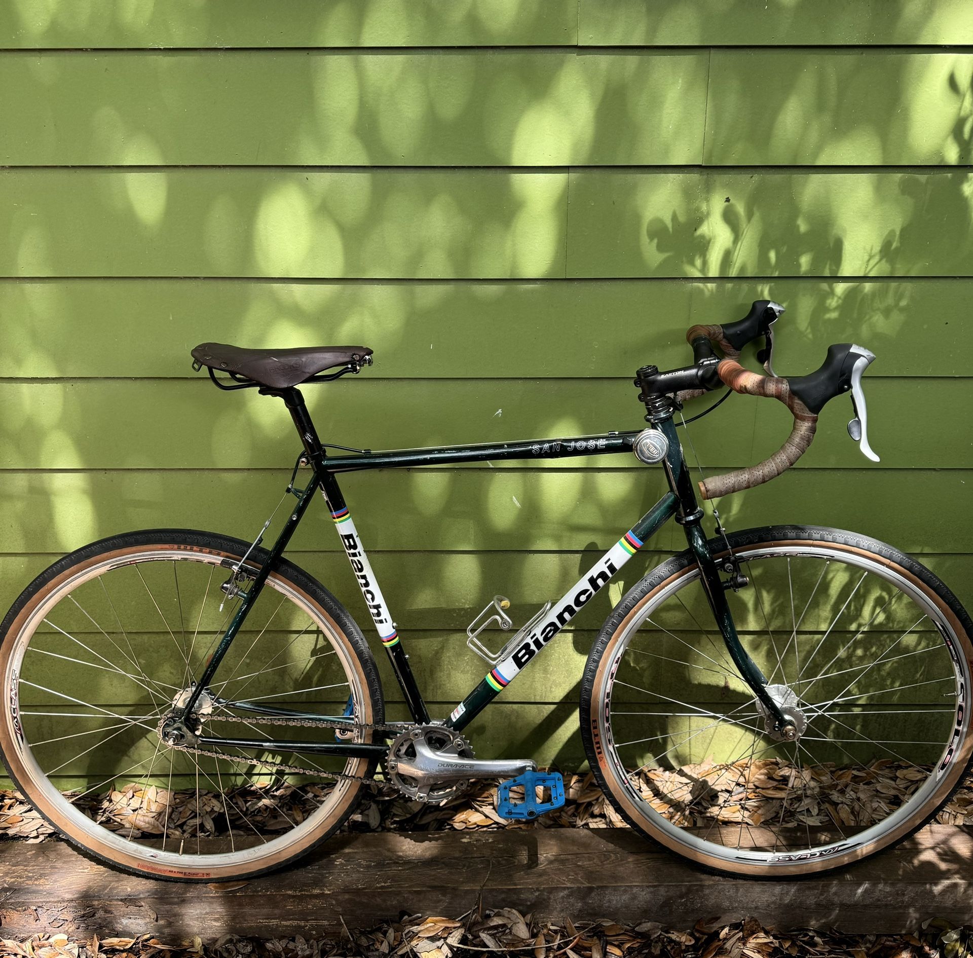 Bianchi San Jose LG Steel