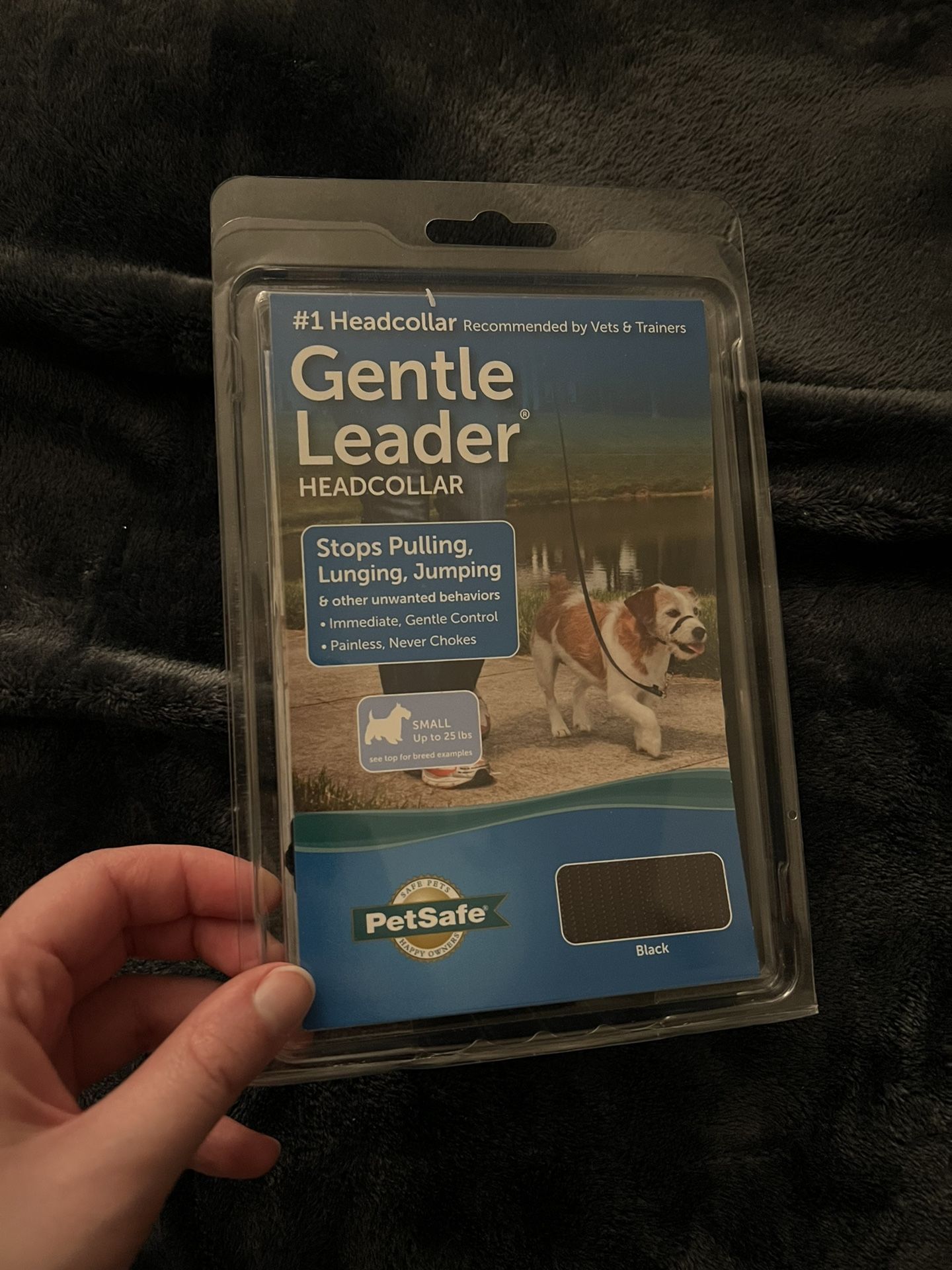 Gentle Leader for Small Dogs