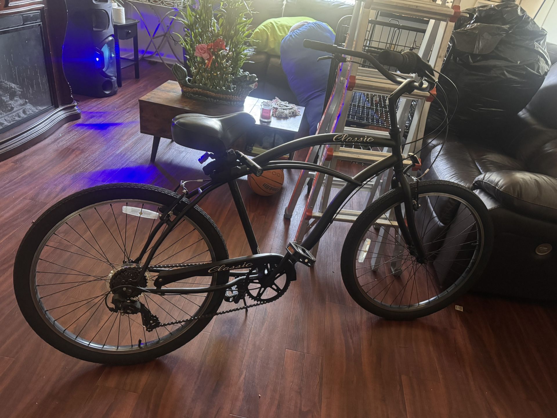 Zf Cruiser Beach Cruiser