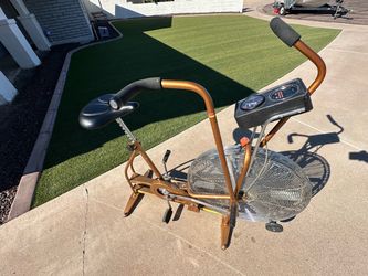 Schwinn Air-Dyne
