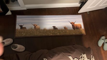Highland Cattle Panoramic Framed Canvas Wall Art