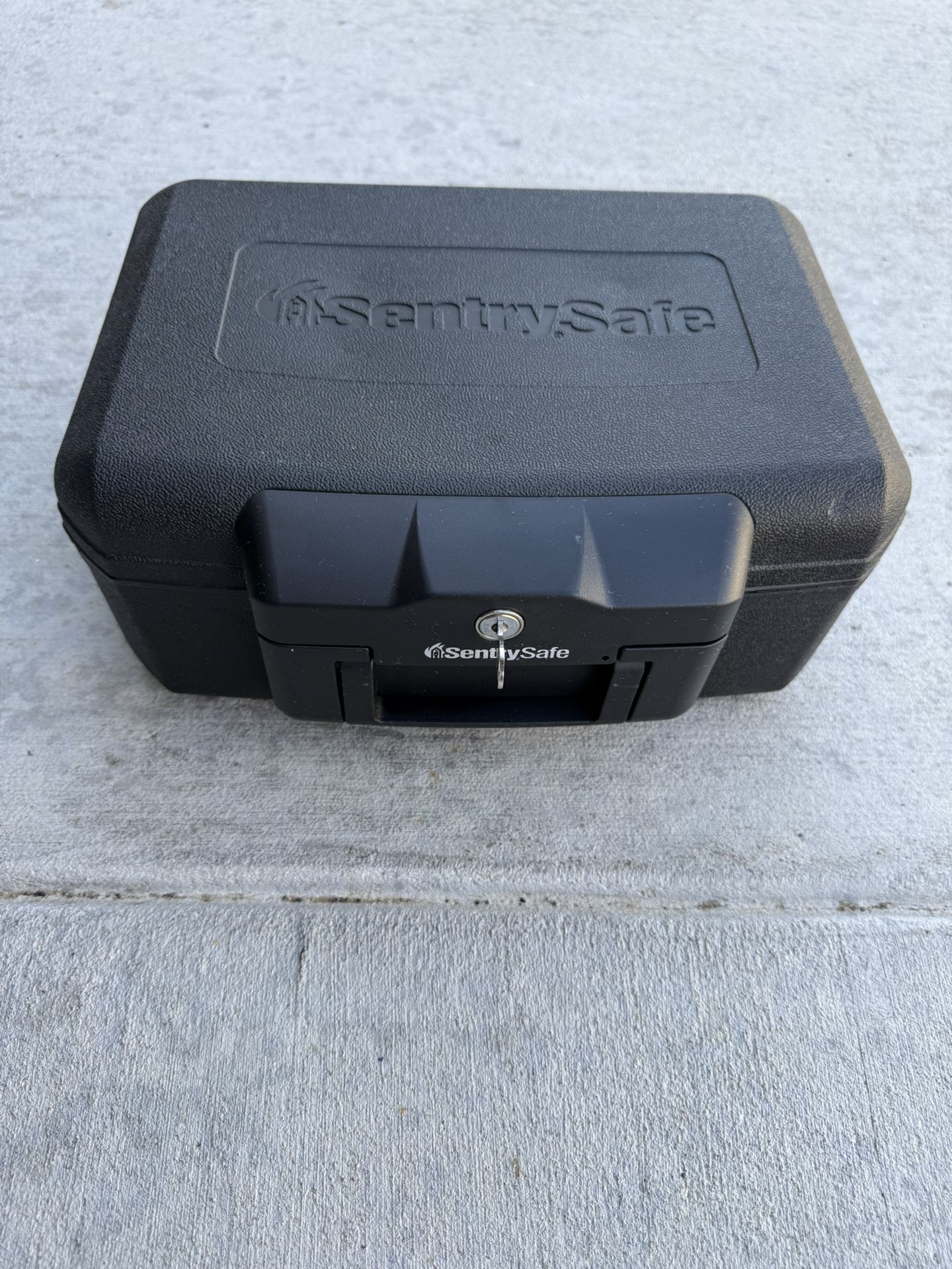 SentrySafe Case 