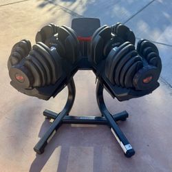 1090 Bowflex adjustable dumbbell and stand  pesas