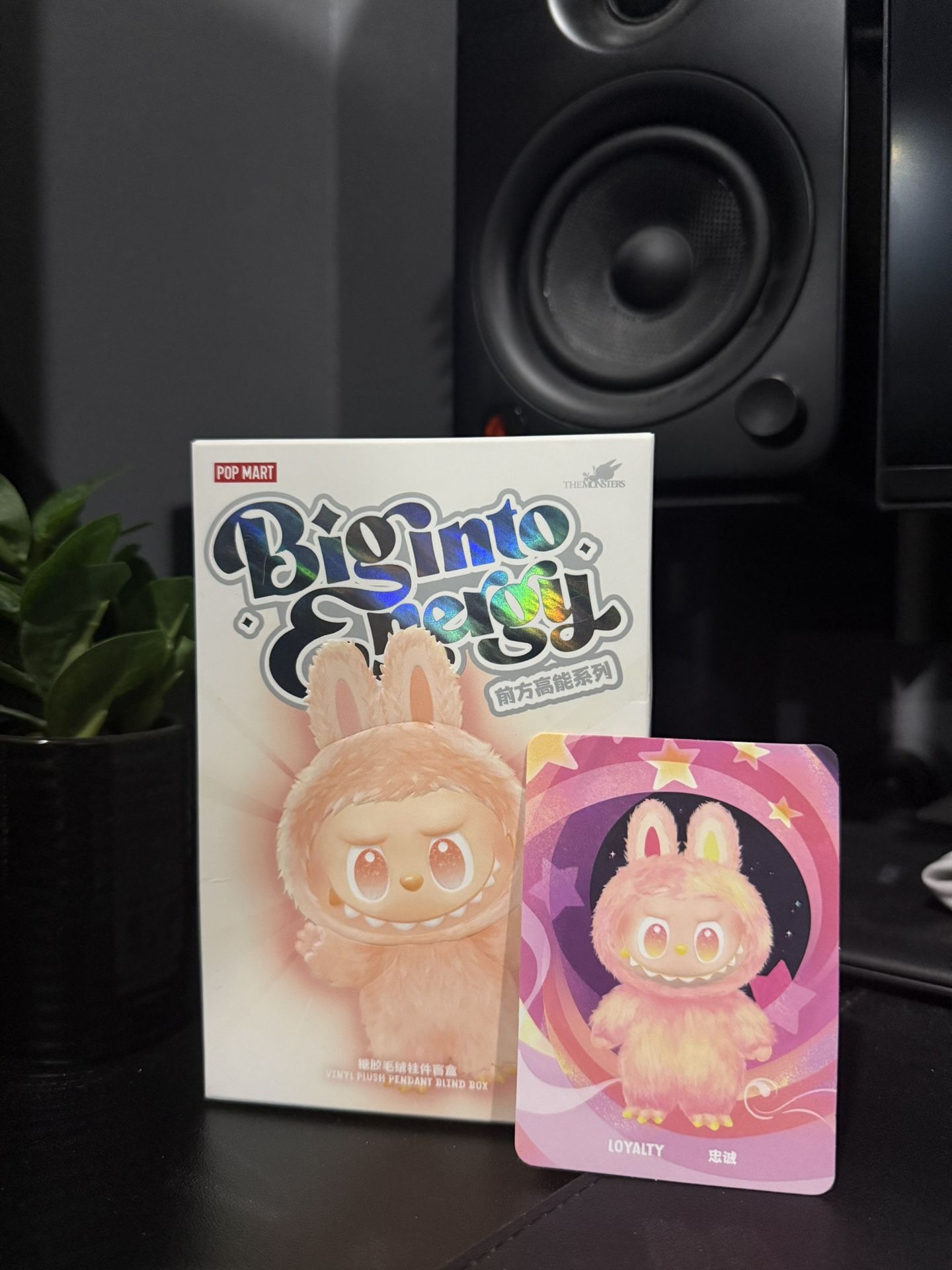 Brand New! Labubu The Monsters Big into Energy Series Loyalty Vinyl Plush Pendant Pink
