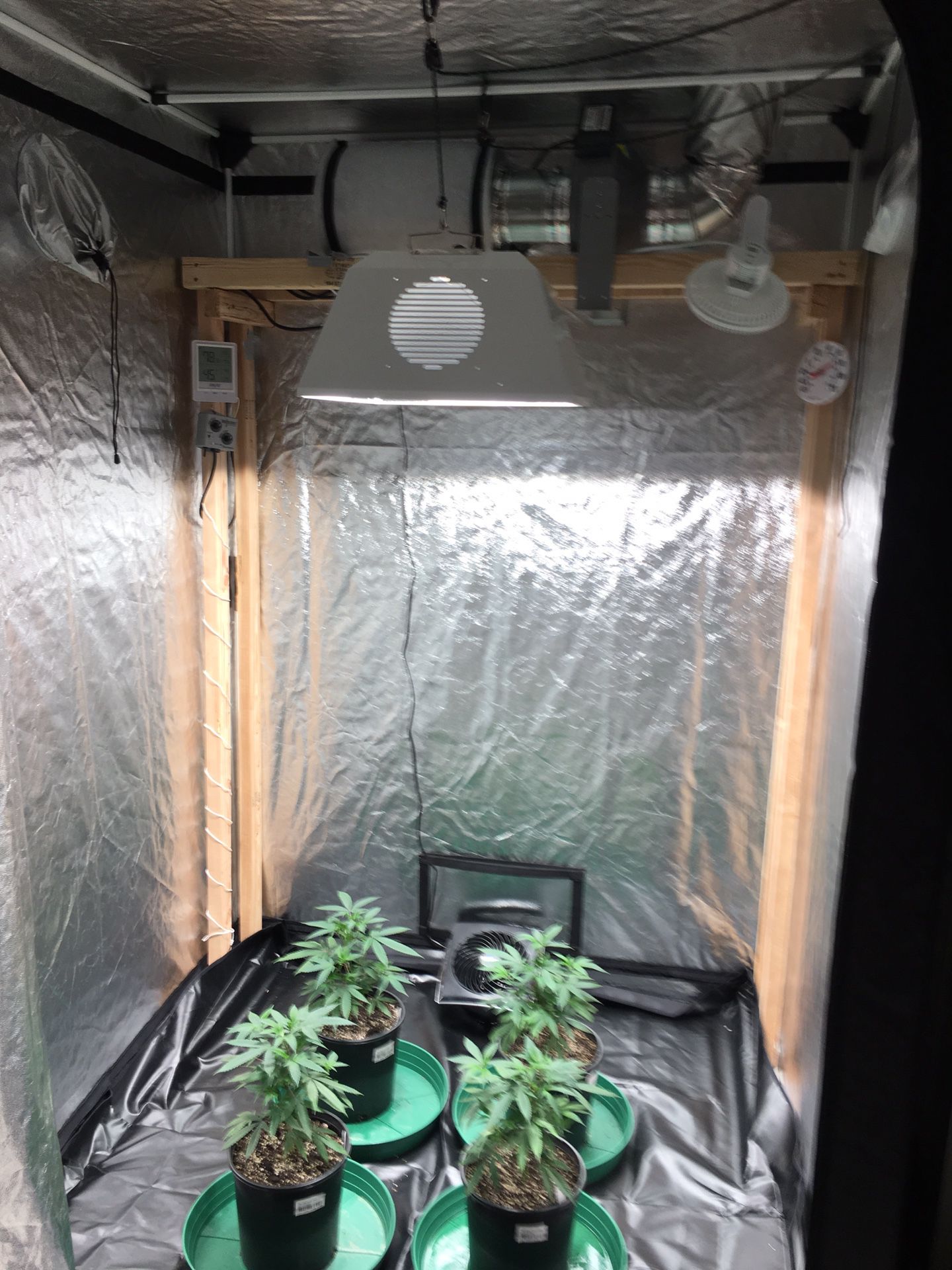 Indoor gardening equipment controlled climate 5x5 room tent