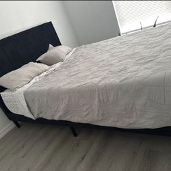 Bed Frame