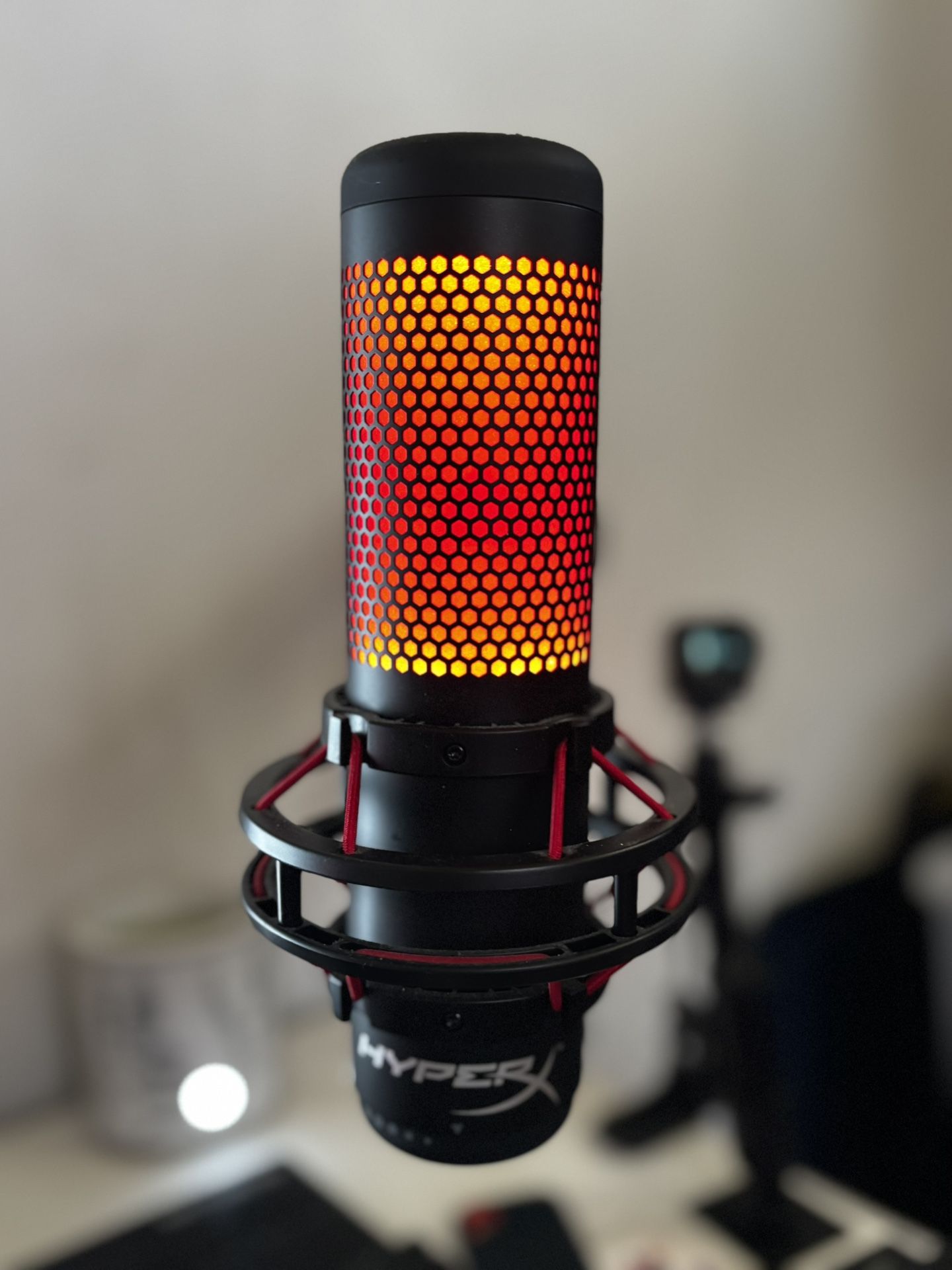 Podcast mic