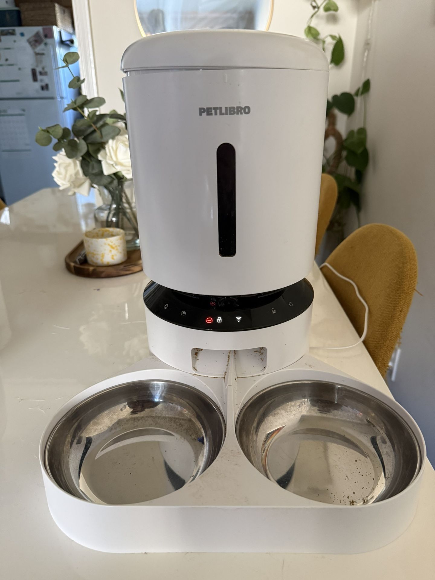 PetLibro Automatic Cat Feeder