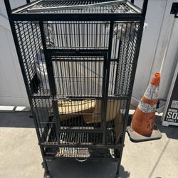 Bird Cage 