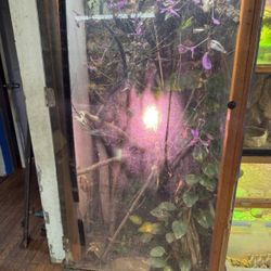 Reptile Cage 
