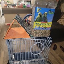 Bird Cage