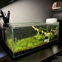 7.5 Gal Rimless Tank Long 