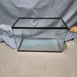 Fish Tank