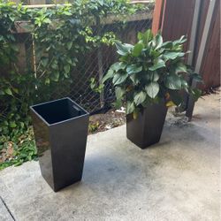 Plant Holders